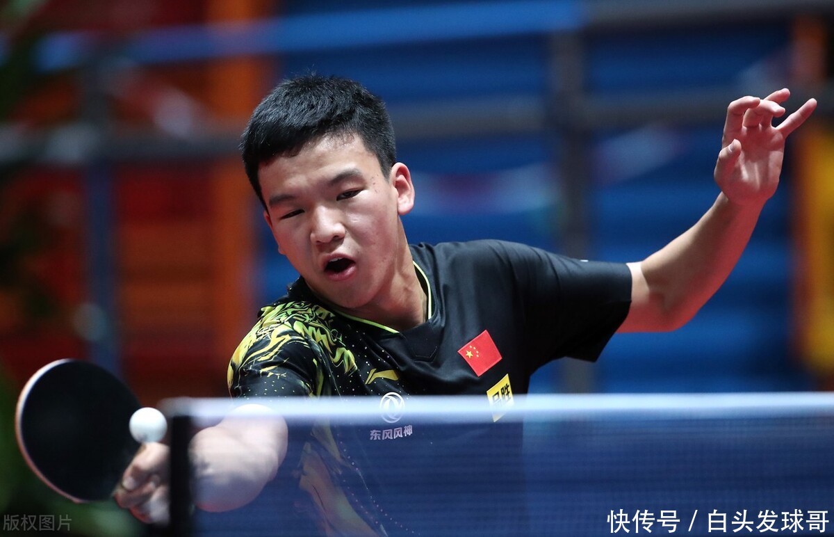 今年的报名 今年的报名